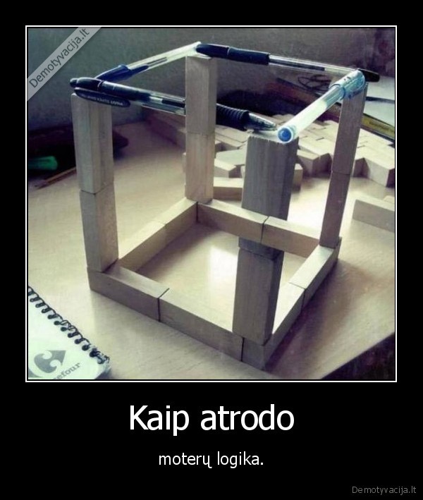 moterys,logika, wtf