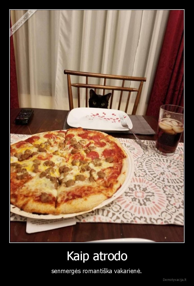 senmerge,vakariene,kate,katinas,pica