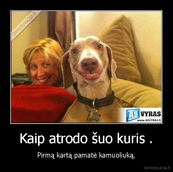 suo,pamate,kamuoliuka