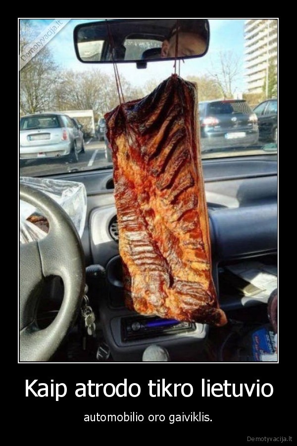 lasiniai,paltis,gaiviklis