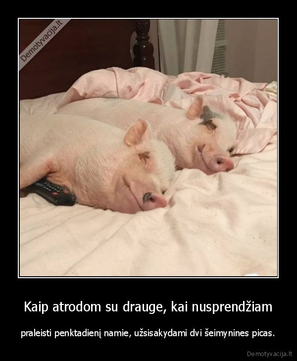 penktadienis,kiaules,pica