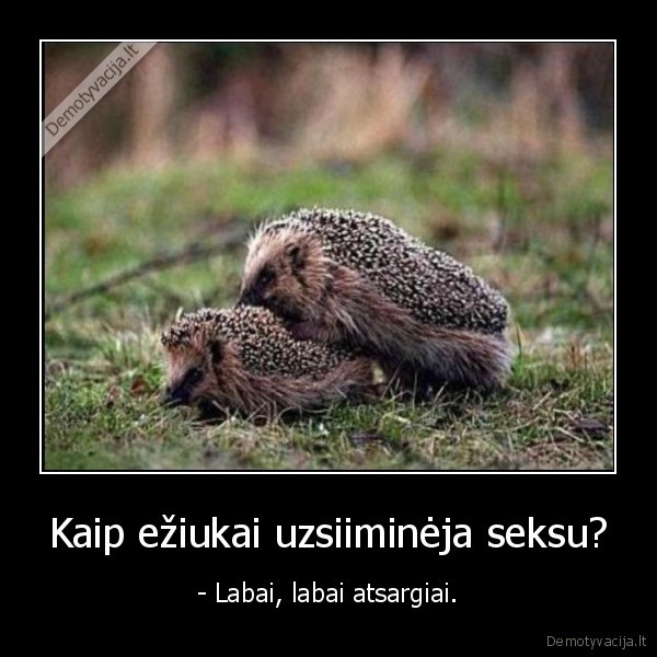 eziukai,ezys,seksas
