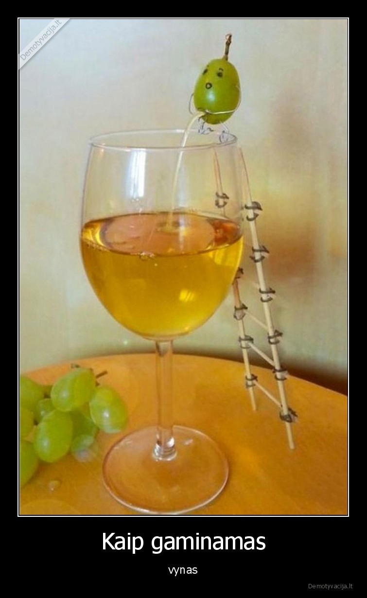 vynas,gaminti,vynuoge