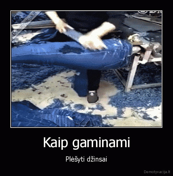 dzinsai,skyleti,plesyti