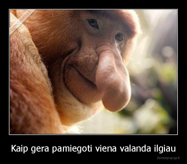 valanda,miego,miegas