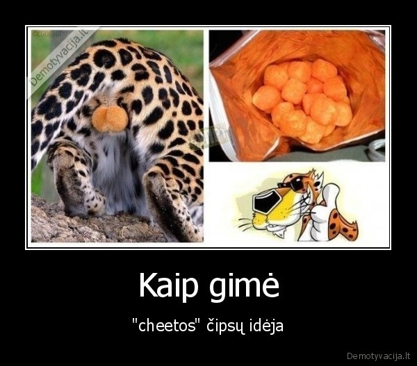cipsai,cheetos
