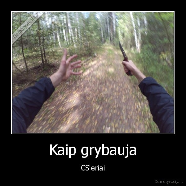 counter, strike,grybauti