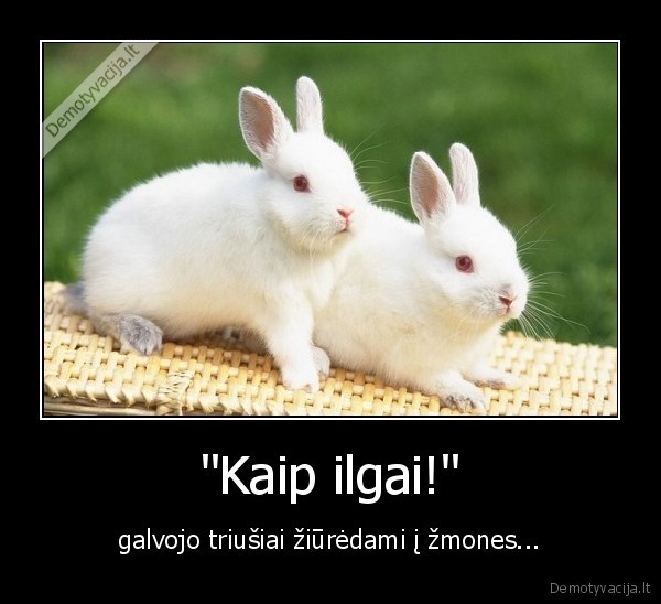 triusiai,zmones,gyvunai