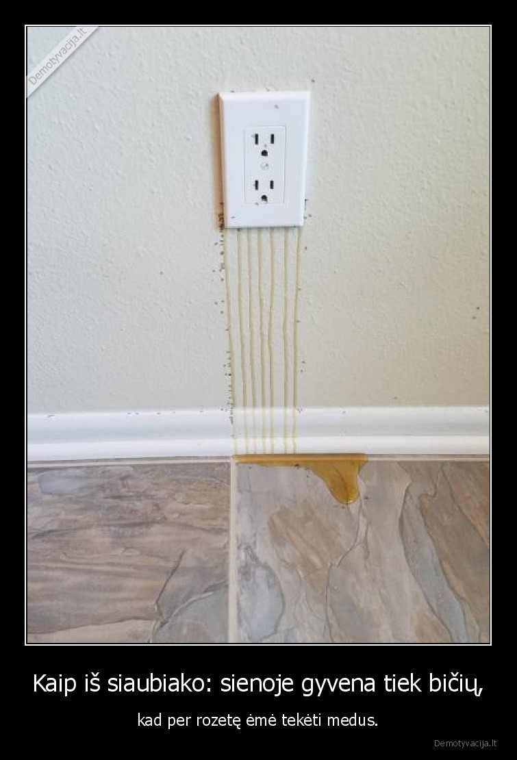 siaubiakas,siena,medus,rozete