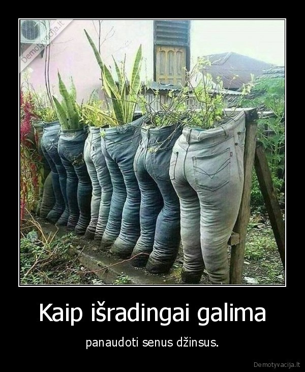 dzinsai,sodas,augalai