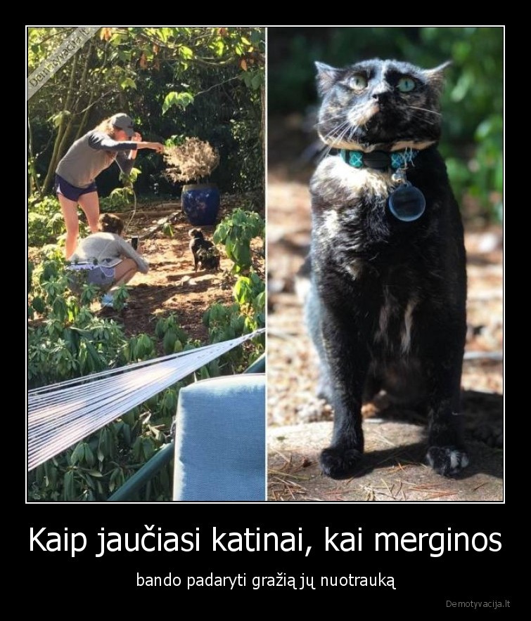 katinai,nuotrauka,merginos,fotosesija