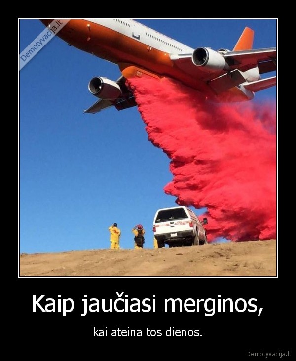 merginso,tos, dienos,menesines