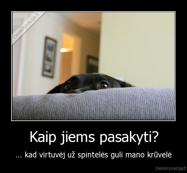 suo,suniukas,linksmi, paveiksleliai