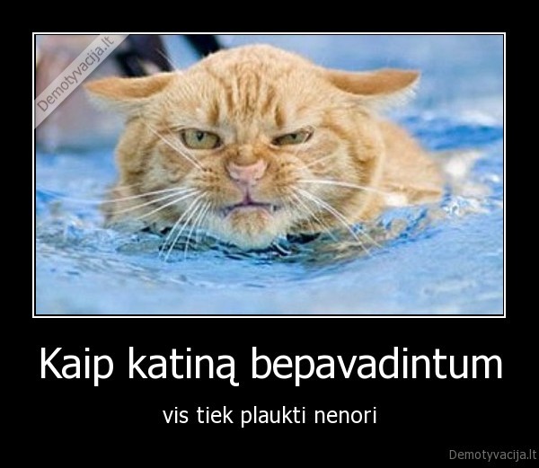 katinas,vanduo