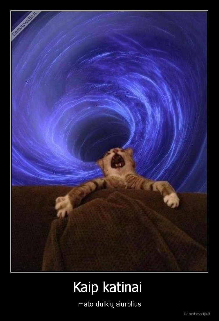 katinas,siurblys,kosmaras