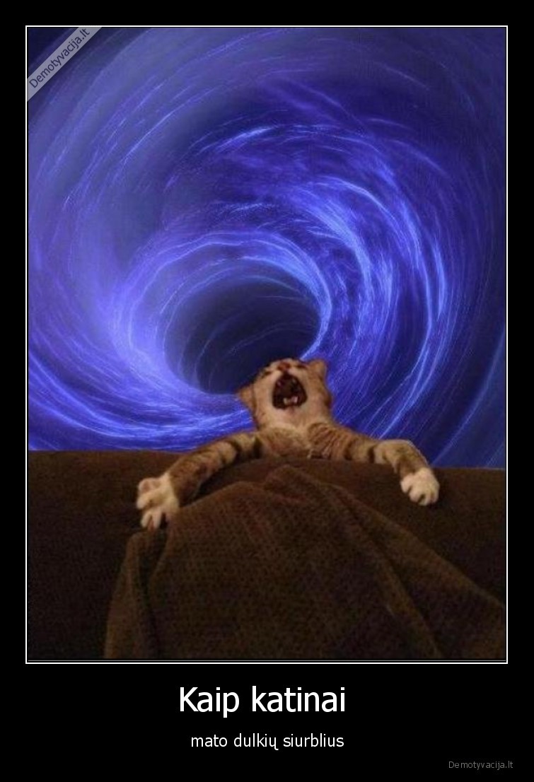 katinas,siurblys,kosmaras