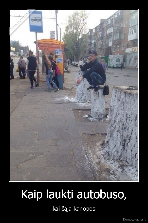 Kaip laukti autobuso,
