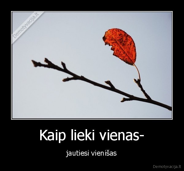 Kaip lieki vienas-