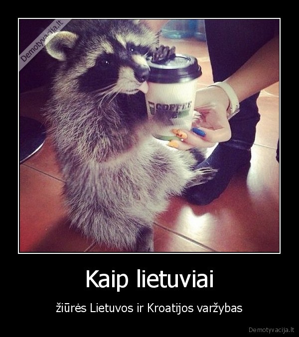 kroatija,lietuva,krepsinis