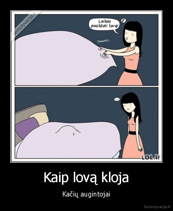 kates,lovos, klojimas