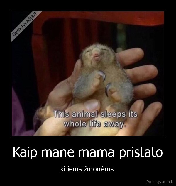 tinginys,mama,zmones