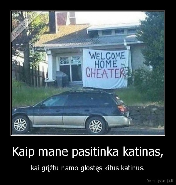 katinas,kate,sukcius,neistikimas