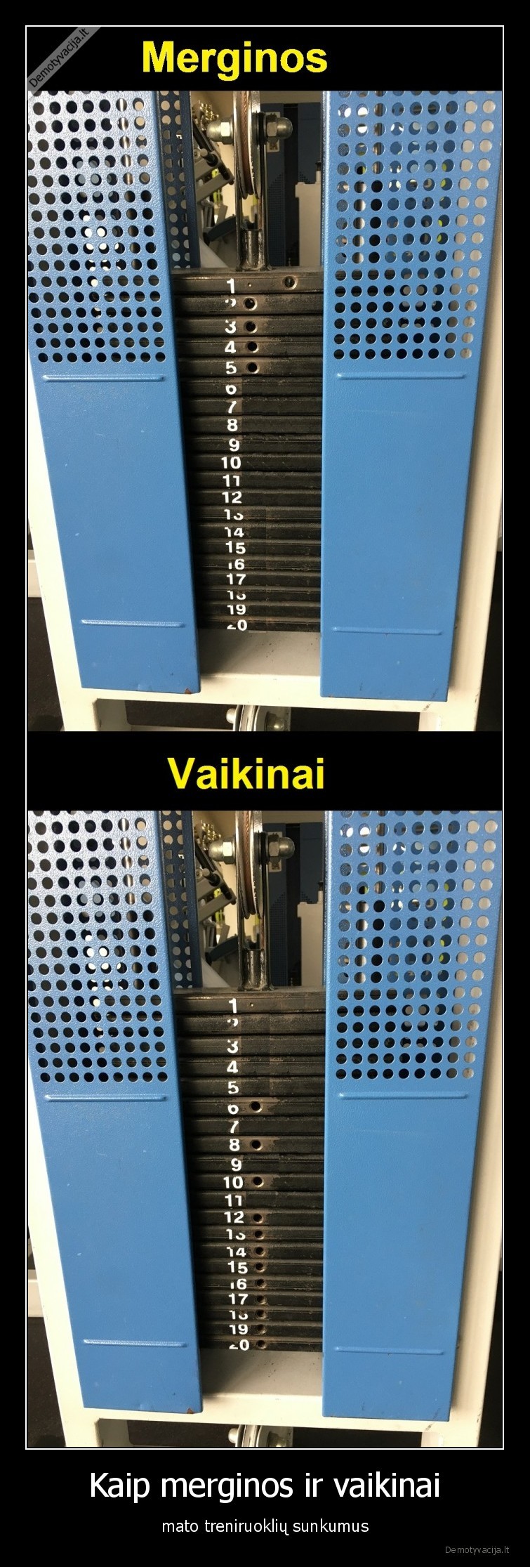 sporto, klubas,treniruokliai,svoriai