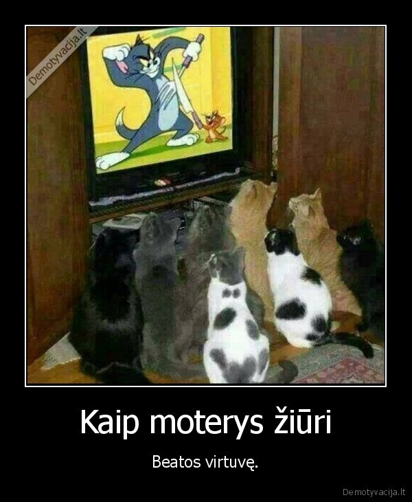 moterys,beatos, virtuve,katinai,tomas, ir, dzeris