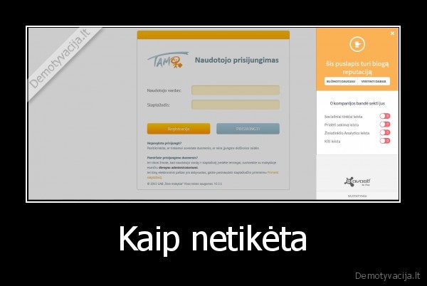 tamo,bloga, reputacija,ironija