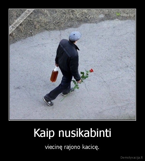 rajonas,katite,alus,roze