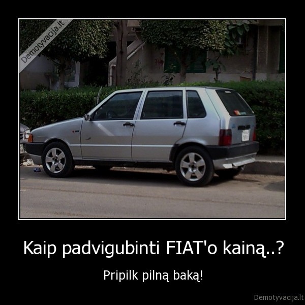 fiat,fiat, uno,ir, vel, baravykas,baravykas,maunu, ant, baravyko