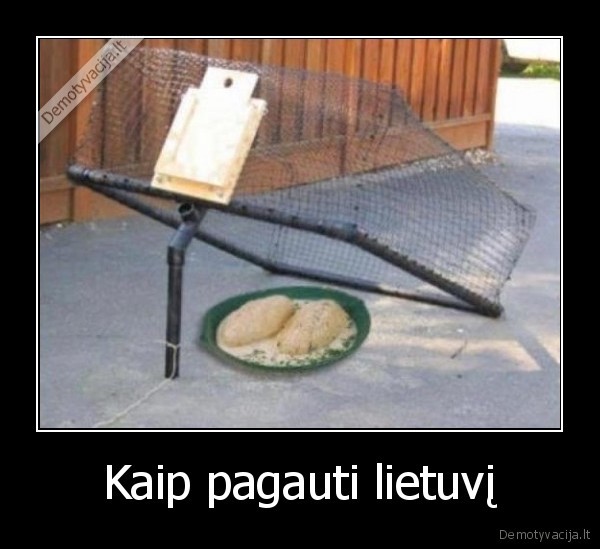 lietuviai,cepelinai,spastai, lietuviui