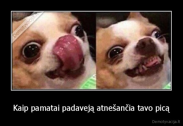 Kaip pamatai padaveją atnešančia tavo picą