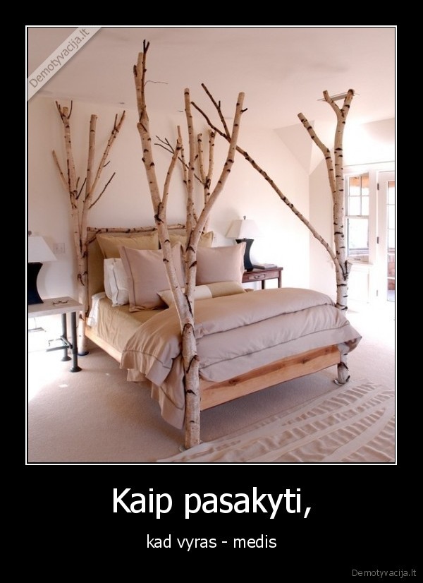 seksas,netikes, vyras,nieko, nepadaro,kelmas,uzuomina