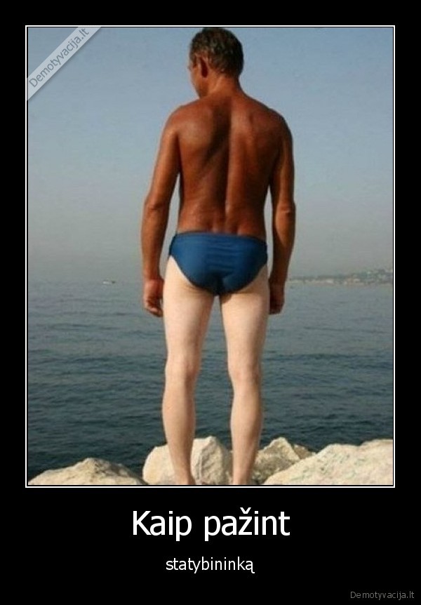 statybininkas,idegis