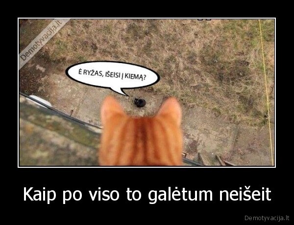 Kaip po viso to galėtum neišeit