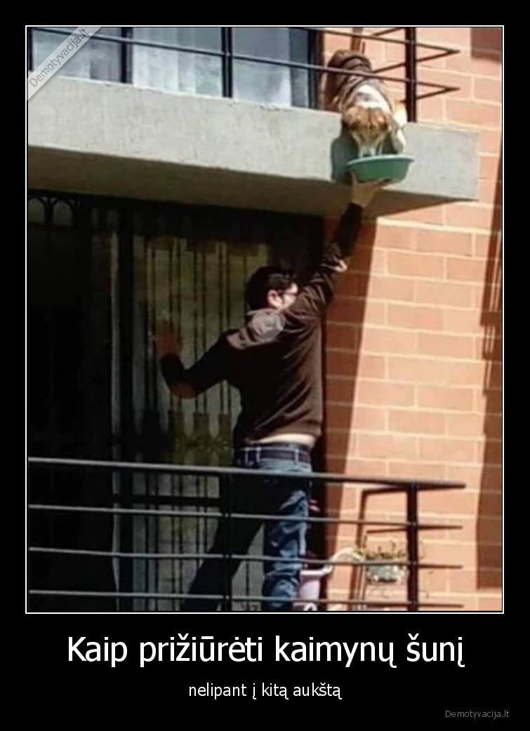 suo,maitinti,prieziura,balkonas