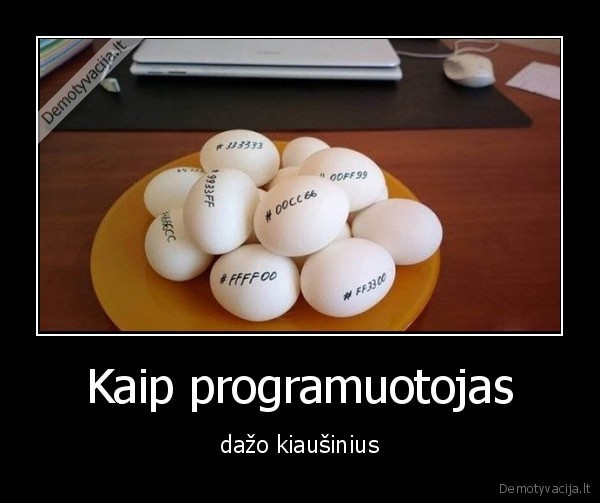 programuotojas,kiausiniai,dazyti
