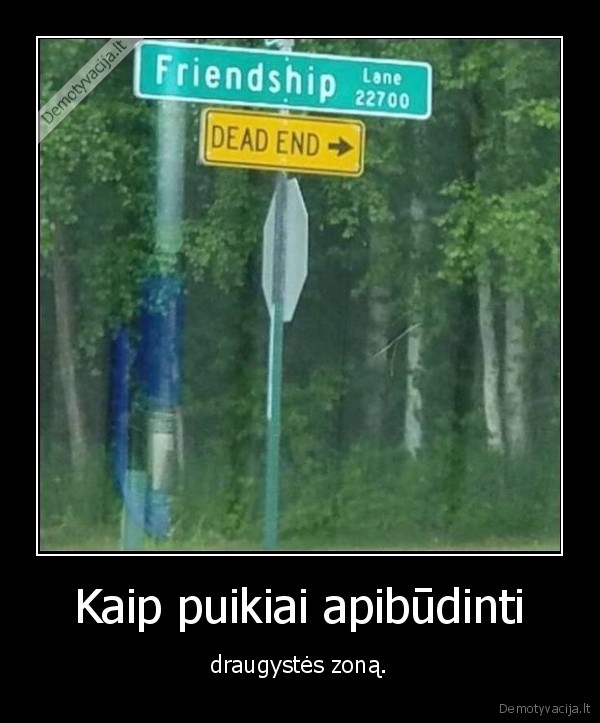 draugyste,zona
