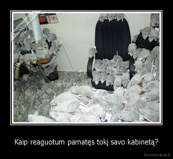 Kaip reaguotum pamatęs tokį savo kabinetą?