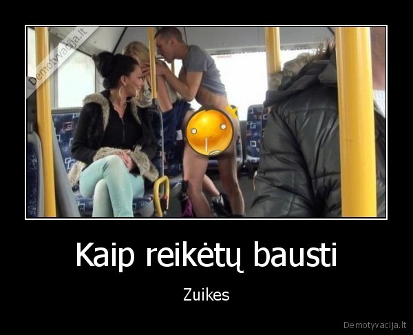 zuikiai,be, bilieto,autobusas