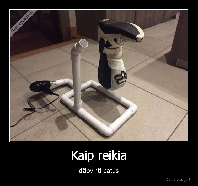 batai,dziovykla,fenas