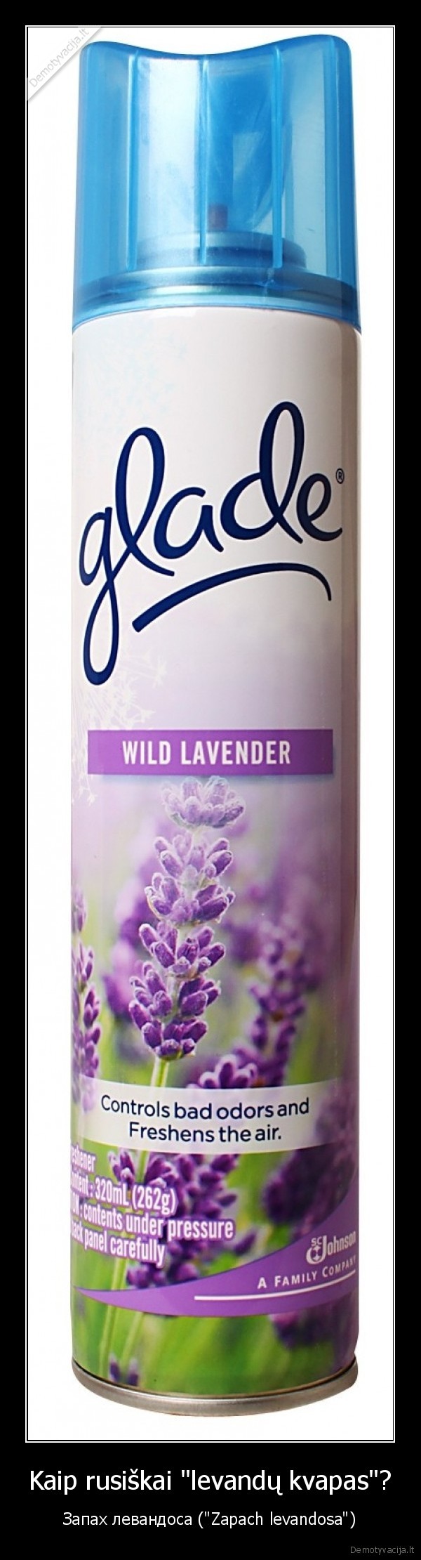 Kaip rusiškai "levandų kvapas"?