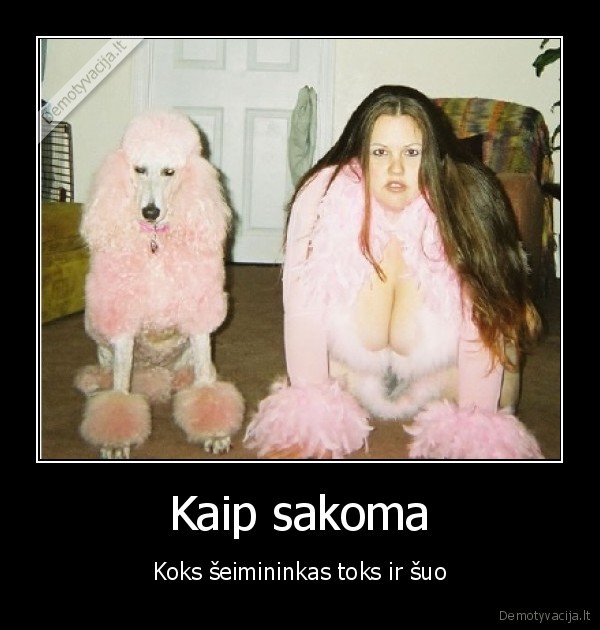 Kaip sakoma
