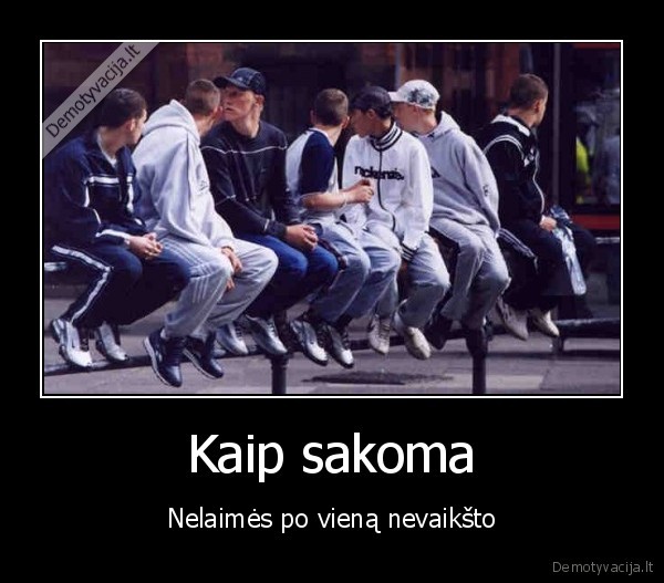 bubilius,kibys,forsai,gaidziai