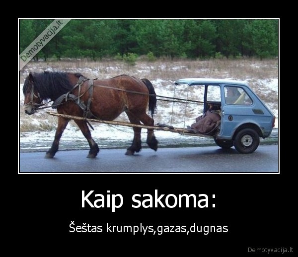 Kaip sakoma: