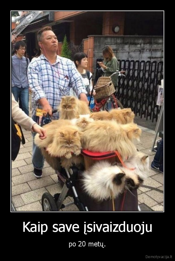 ateitis,kate,katinas,kates