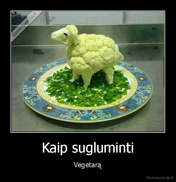 vegetaras,aviukas