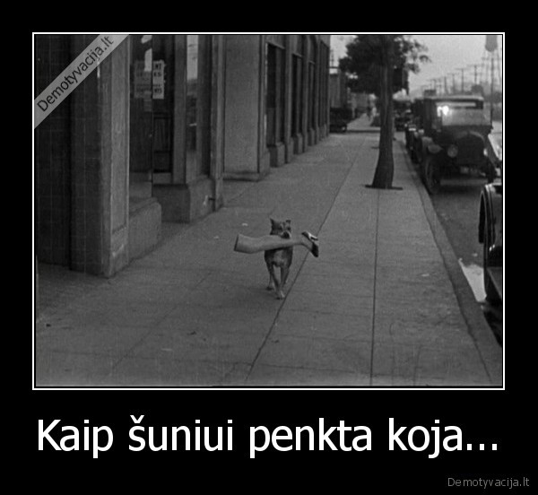 suo, nesa, koja,moters, koja,patarle