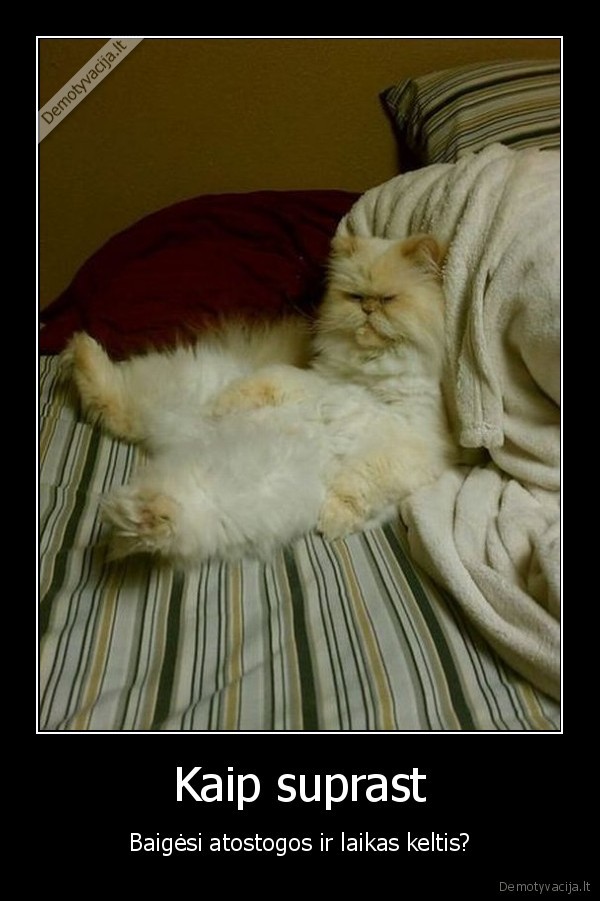 Kaip suprast